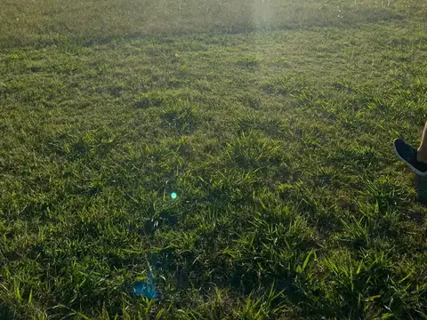 Terreno en Venta de 2000,0 m2