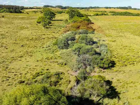 Chacra Marítima en venta - Ruta 104 José Ignacio