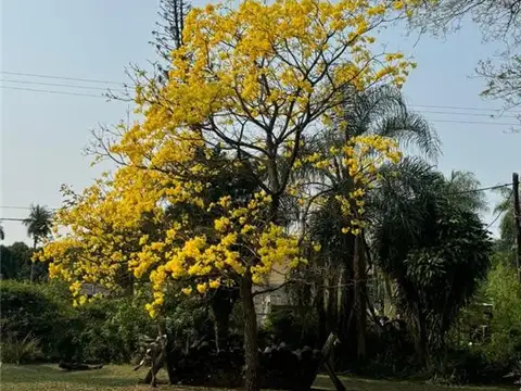 Av. Virgen de Itatí 2400