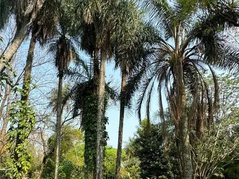 Terreno en Venta en Paso De La Patria, USD 25.000