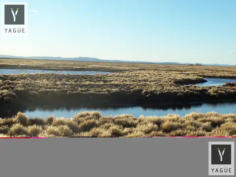 INMOBILIARIA COMODORO - Establecimiento Ganadero en Producción en Chubut.