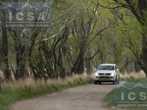 INMOBILIARIA COMODORO - Establecimiento Ganadero en Producción en Chubut.