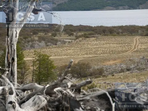 Gobernador Costa Campo ubicado en el Valle del Río Senguer