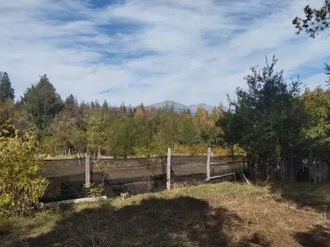 (070) Bolsón (Mallín Ahogado) Chacra de 6 Has