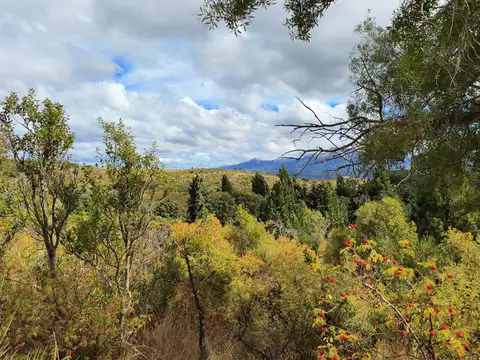 Chacra 6 has en Trevelin