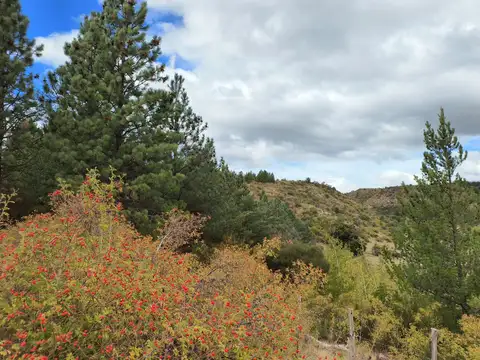 Campo en Venta con Alambrado