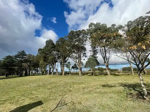 Terreno en Venta de 792,0 m2