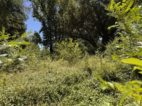 Terreno en Venta en Benavidez, USD 92.000