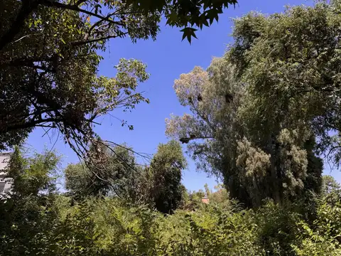 Terreno en Venta de 833,0 m2