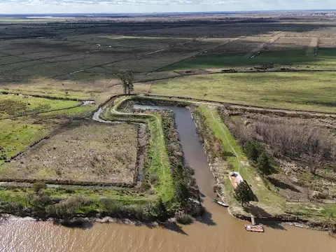 ISLA DE 319 HA EN VENTA SOBRE EL RÍO PARANA-ALSINA, BARADERO BUENOS AIRES, EXCELENTE INVERSIÓN.