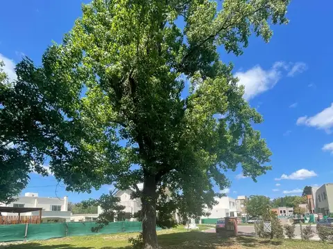 Terreno en Venta de 920,0 m2