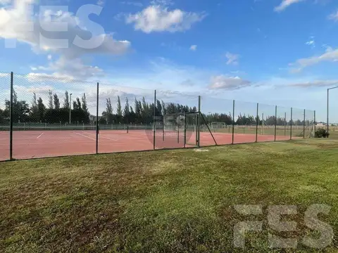 FINCAS DE SAN VICENTE JOVEN