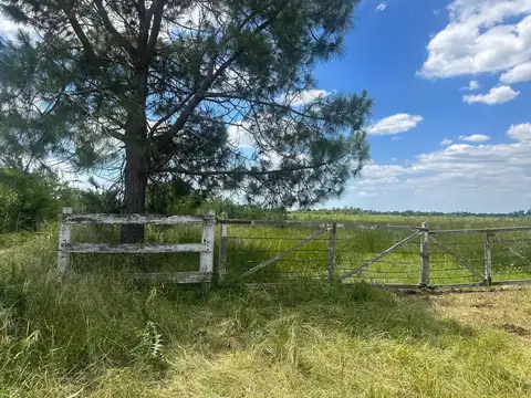 Campo en Venta de 5  ha