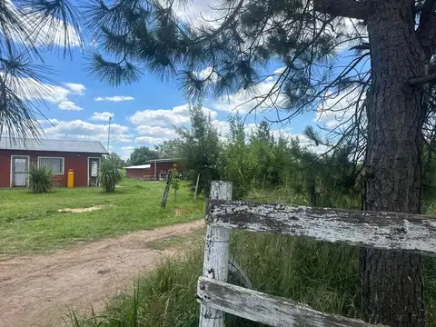 Campo en Venta de 5  ha