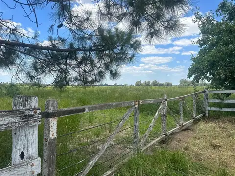 Etchegoyen 100