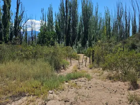 VENTA DE TERRENO EN POTRERILLOS, MENDOZA. ID: 321621