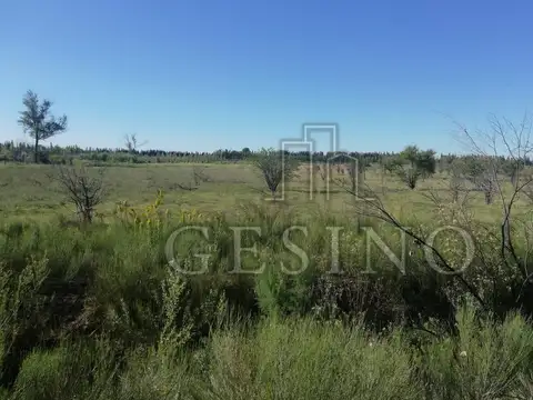 CENTENARIO e/ 13 Y 14