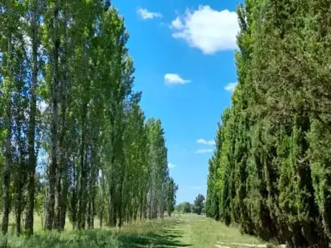 Terreno en Venta en Haras La Amanecida, USD 25.000