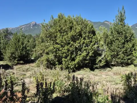 Meliquina, lotes 7 y 8 de la manzana H1