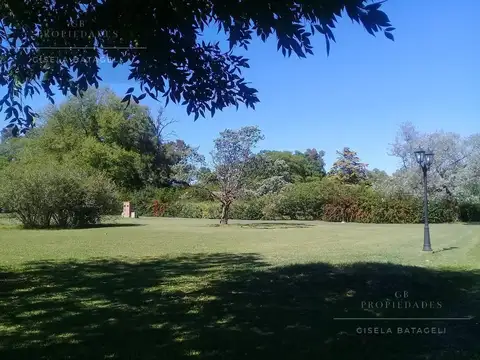 La Otilia 800