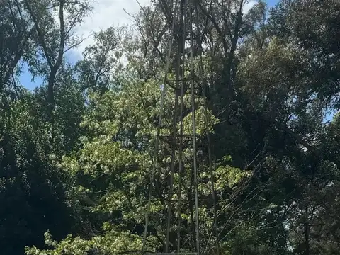 Lote de 800m2, barrio con forestación. Inversión ideal.