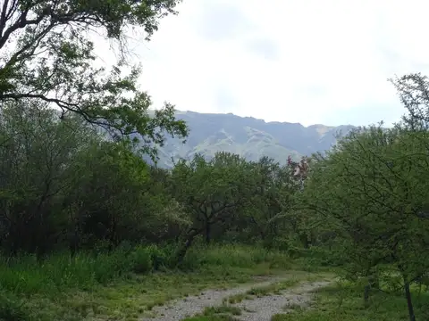 Lotes de 2500 m2 en venta en Altos de Carpintería