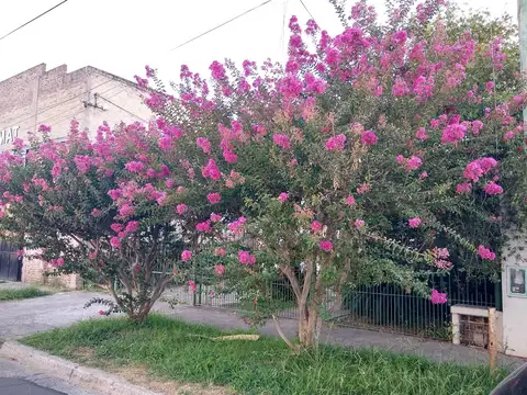 Casa en Venta en Rincón de Milberg 3 Dormitorios, Martín Coronado 1900