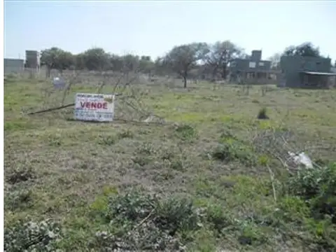 Vivero 300