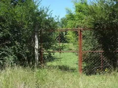 SAUCE  100 - LA BOTA