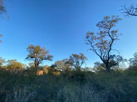 Terreno en Venta 20  mts Frente