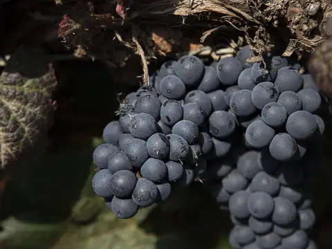 Terreno en Venta 73  mts Frente