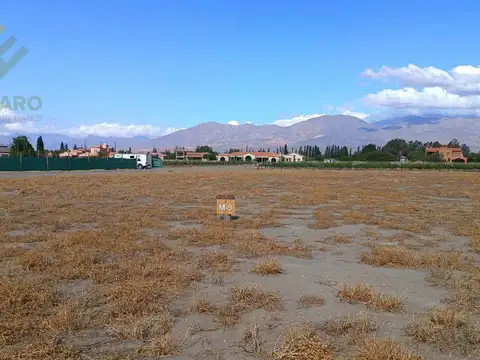 Terreno en Venta 47  mts Fondo