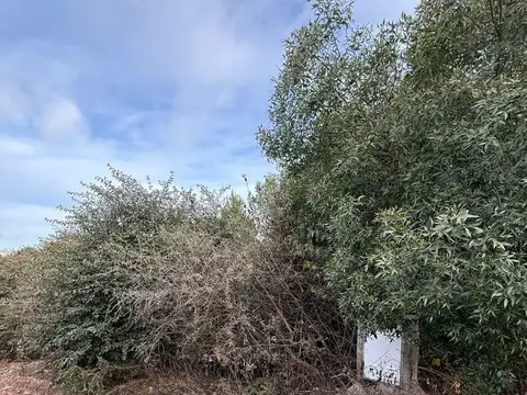 Terreno en Venta de 2360,0 m2