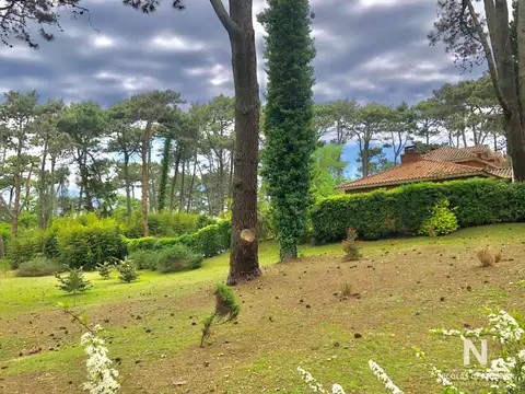 Terreno en Venta en Playa Brava, USD 255.000