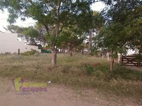 Terreno en Venta en Nueva Atlantis, USD 20.000