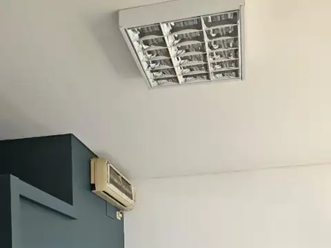 Alfredo Palacios 300