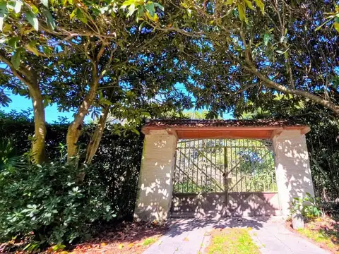 Andrómaco y Champagnat 500