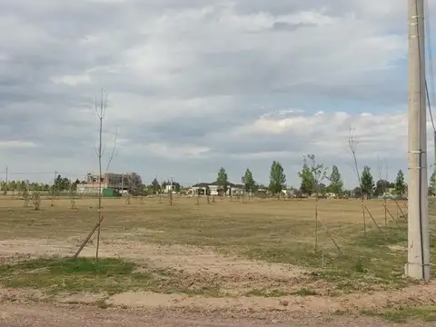 Terreno en Venta en Fincas de San Vicente, USD 30.000