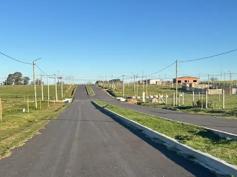 Consultar dirección