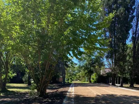 Terreno en Venta de 172,0 m2