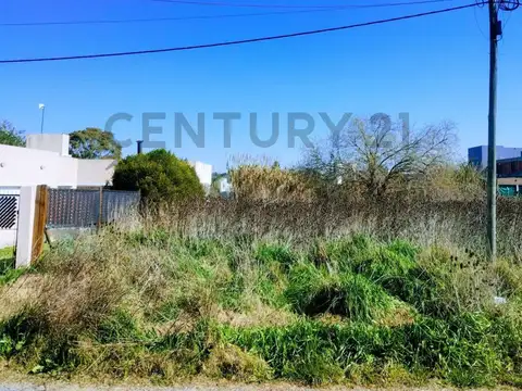 141 entre 36 y 37, Lote en Venta, San Carlos .-