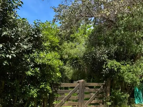 Mmc. Increíble Casa En Venta En Barrio Monteverde