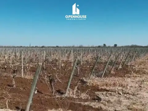 La Dormida, distrito de Santa Rosa