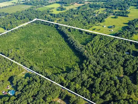 VENTA Campo de 32,4 hectáreas en Gainesville Florida, Estados Unidos ? Tierra, caballos y libertad, a minutos de todo.