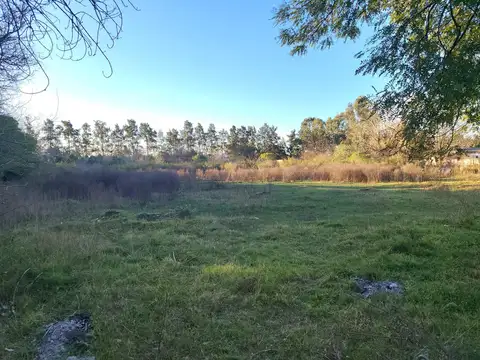 Terreno en Venta, de 6.219m2, en Barrio Albizola, Otamendi, Campana, GBA Norte