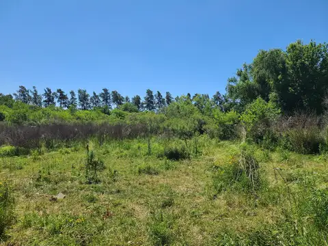 Terreno en Venta 115  mts Fondo