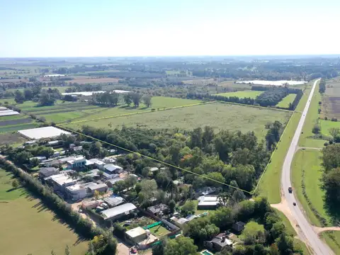 Campo en Venta Agrícola