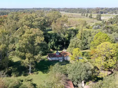 Campo en Venta Agrícola
