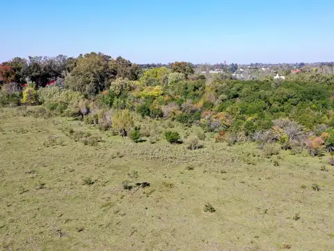 Campo en Venta de 12  ha