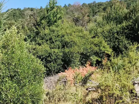 Terreno en Venta en San Martín de los Andes, USD 37.000